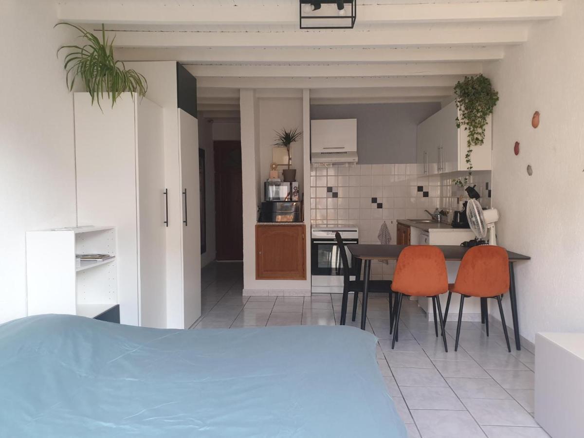 Studio Tout Confort Centre Ville - Balcon, Clim, Tv, Wifi Мазан Екстериор снимка
